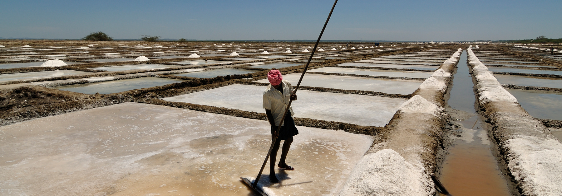 Salt pans in Marakkanam where sea water is pumped into large pans and dried. (Sandip Dey, licensed under CC BY-SA 3.0)