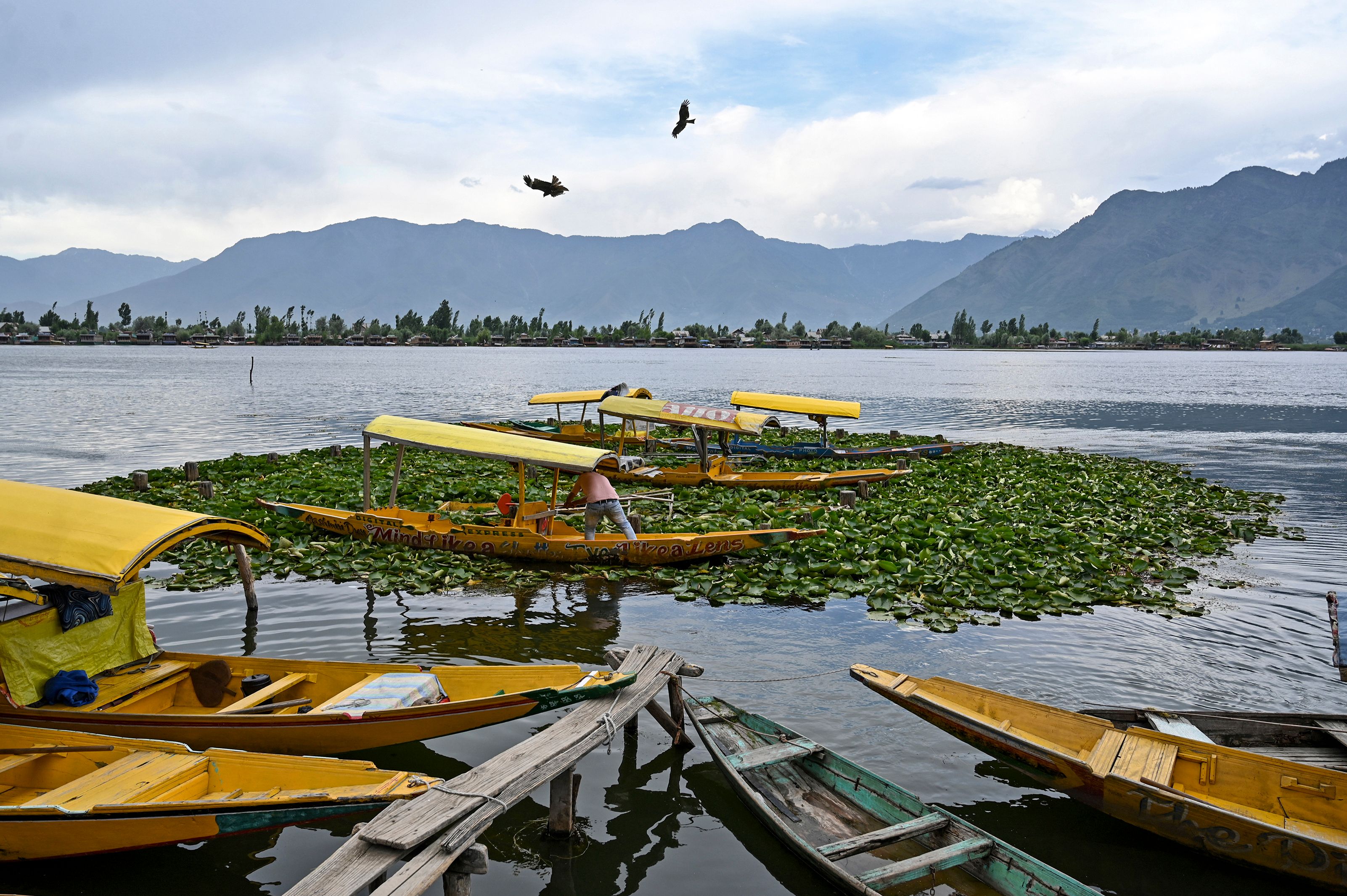 A Kashmiri boatman stands on his boat as he waits for customers in the Dal lake in Srinagar on June 26, 2019. (Tauseef MUSTAFA / AFP via Getty Images)