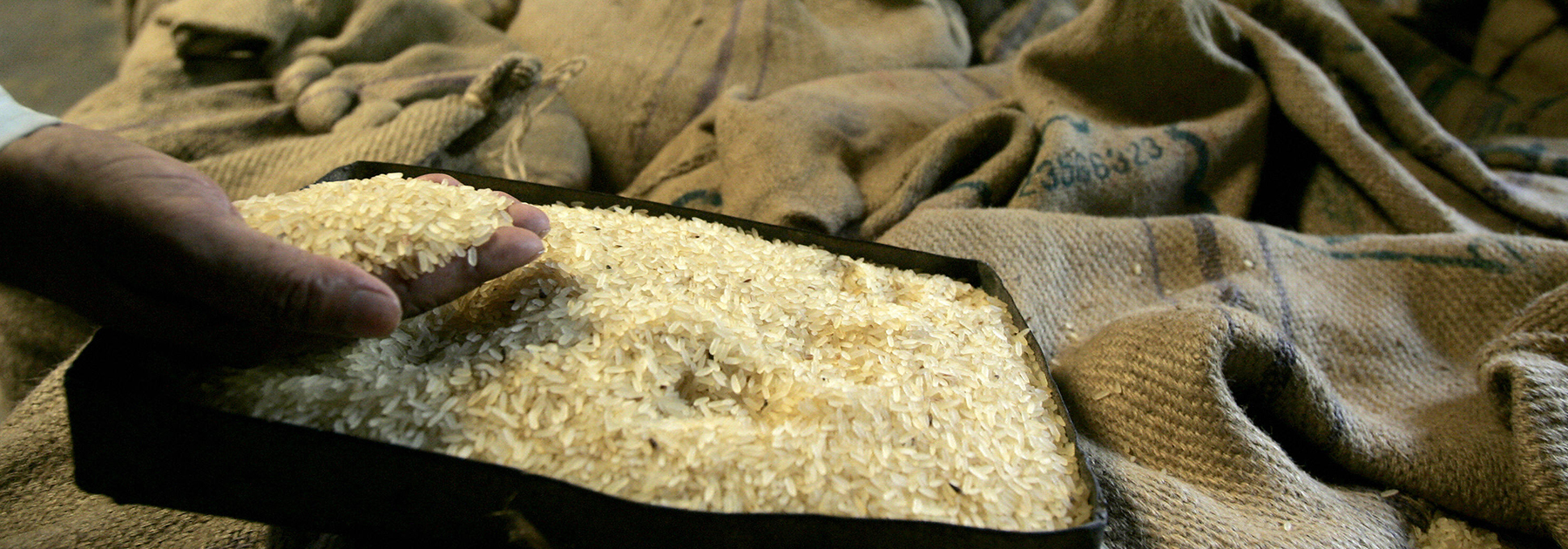 A rice mill worker checks the final production quality from a specimen kept beside of rice filled sacks at a mill in Midnapore. (DESHAKALYAN CHOWDHURY/AFP/Getty Images)